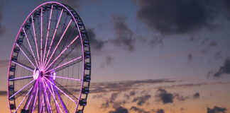 The story of my journey in photography