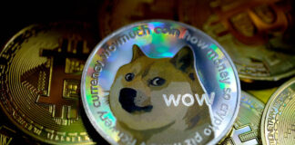 Dogecoin price surges after Elon Musk tweets Tesla will accept it as payment for merch