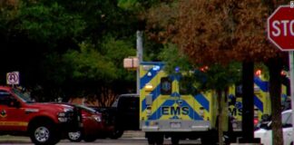 3 dead in Austin shooting, officials say scene remains active