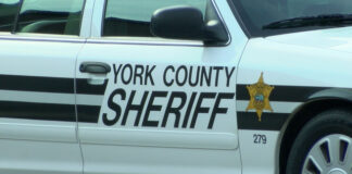 5 People dead in South Carolina mass shooting