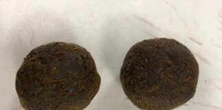 Dulles Customs Find Cow Dung Cakes in Leftover Baggage from Air India flight