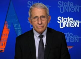 Senate Panel Advances Fauci Contempt Resolution in 8-5 Vote