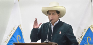 Pedro Castillo declared president-elect of Peru