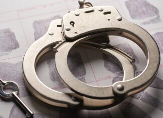 Man Charged After Allegedly Living 8 Years in Arizona National Forest