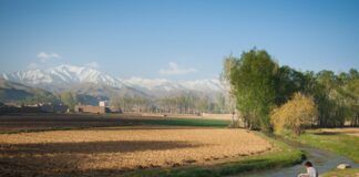 More than 97 percent of Afghans could plunge into poverty by mid-2022, says UNDP