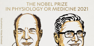 US scientists David Julius and Ardem Patapoutian jointly win the 2021 Nobel Prize in Physiology or Medicine