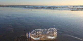Study finds 80% of all rubbish across Australian beaches