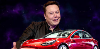 Elon Musk’s $29 Billion Single-Day Loss Amidst Tesla’s Market Turmoil and Trump’s Support