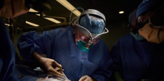 VIDEO: US surgeons successfully test a pig kidney transplant on a human patient
