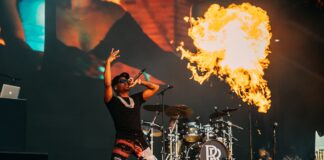 At least eight dead, many injured at Huston music festival