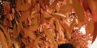 Malala Yousafzai , the youngest Nobel Peace Prize winner in history gets married