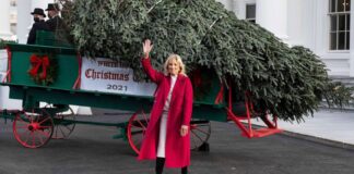 First Lady Jill Biden receives the Official White House Christmas Tree