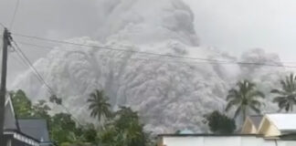 Indonesia’s Mt. Semeru volcano eruption kills 13, dozens injured