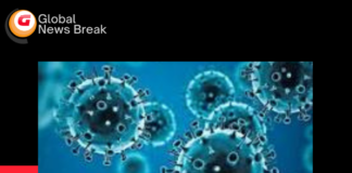 India reports 2 COVID-19 Omicron variant cases