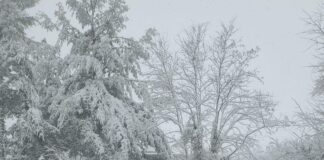 DC region’s biggest snowstorm in three years ends, 500K more residents without power