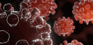 New COVID-19 cases increase sharply as new deaths decreased worldwide: WHO