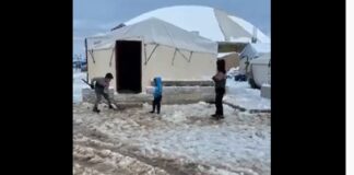 UN calls continue support for millions of vulnerable people in need in Syria