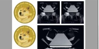 Tesla merch buyable with Dogecoin
