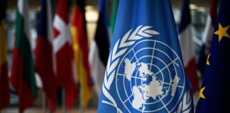 UN Security Council renews mandate of UN peacekeeping force in Cyprus for six months