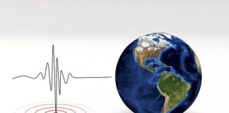 Strong 6.5-magnitude Earthquake Shakes Indonesia, no casualty reported