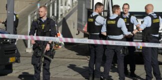 Copenhagen shooting: 22-year-old Gunman charged in court with murder