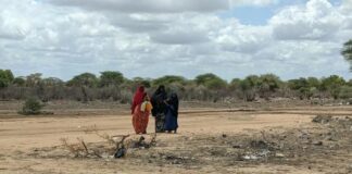 One million people displaced by drought in Somalia- Report