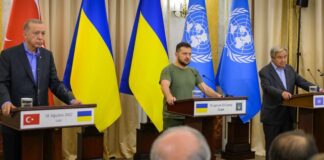 Grain deal ‘victory for diplomacy,’ UN chief