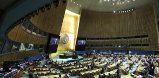 14 states elected into UN Human Rights Council