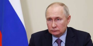 Putin receives invitation to BRICS summit in SA