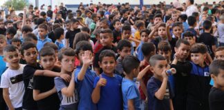 One million displaced in 2022, UN efforts to solve refugee crisis