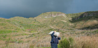 Global Food Prices Surge 14.3 Percent in 2022: FAO