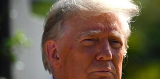 Meta announced they will reinstate Trump’s Facebook and Instagram accounts