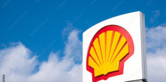 Investors sue Shell’s 11 bosses over climate risks