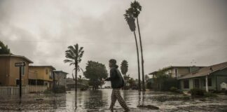 California storm knocked down trees and left over 100,000 without power