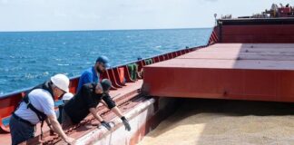 Black Sea Grain Initiative extended on deadline day- UN