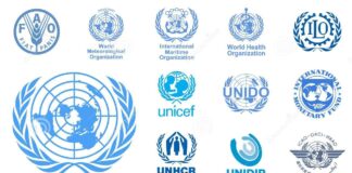 Aid trucks reach frontline town of Chasiv Yar of Ukraine- UN agency