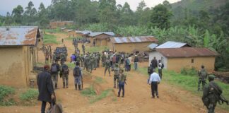 20 killed by IS-linked in Eastern Congo
