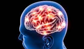 US allocates $300 mil to set up first Alzheimer’s database