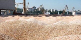 Russia Suspends Wartime Deal Allowing Ukraine’s Grain Shipments, Affecting Global Food Supply