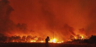 Greek Wildfires Claim 20 Lives and Devastate Landscape