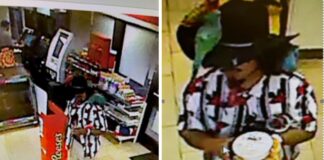 “Bird Bandit” Identified by Police After Robbery at McDonald’s