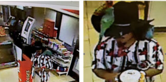 Bird Bandit Strikes: Suspect with Feathered Companions Robs Innocent Victim