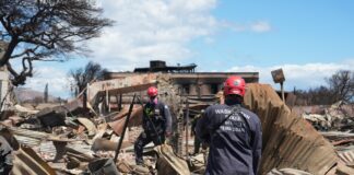 Maui Wildfires Leave 1,100 Missing and 115 Dead