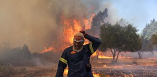 Greek Firefighters Rescue 25 Migrants from Wildfire