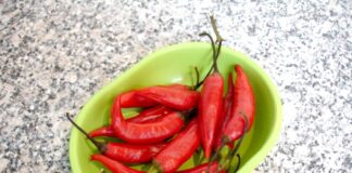 Chili Peppers for a Healthy Immune System: What Health Experts Say