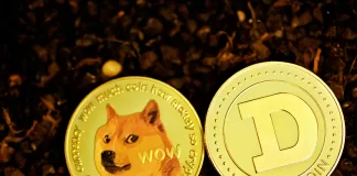 Dogecoin vs Shiba Inu: Which Meme Coin Has the Edge?