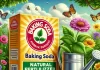 Unleashing the Green Magic of Baking Soda in Your Garden