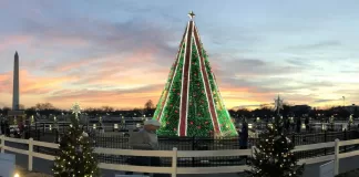 DC’s Christmas Trees: Tradition, Innovation, and Celebration