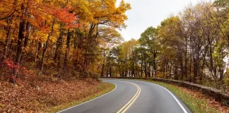 Virginia’s Skyline Drive: A Scenic Journey Through the Blue Ridge Mountains