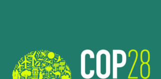 COP 28: The largest and most diverse climate summit in history